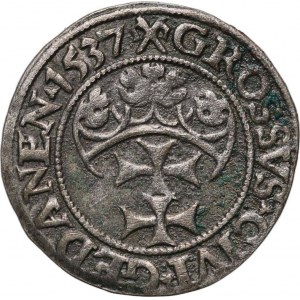 Zikmund I. Starý, penny 1537, Gdaňsk