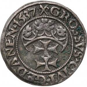 Žigmund I. Starý, penny 1537, Gdansk
