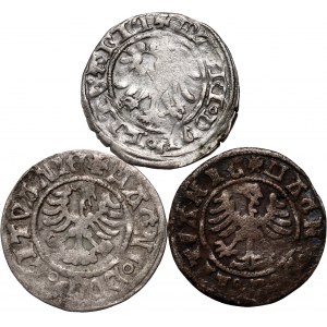 Alexander Jagiellonian 1501-1506, set of 3 x Lithuanian half-penny without date, Vilnius