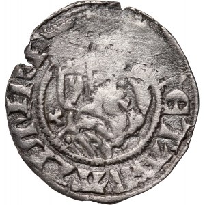 Kasimir III. der Große 1333-1370, halber Pfennig, Krakau