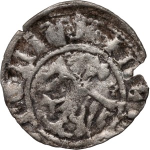 Kasimir III. der Große 1333-1370, halber Pfennig, Krakau