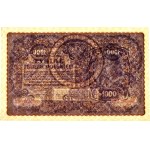 II RP, 1000 polnische Mark 23.08.1919, 3. Serie AH