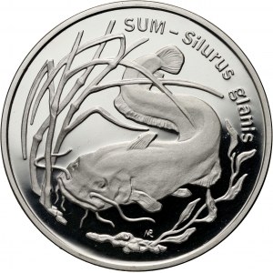 III RP, 20 złotych 1995, Sum