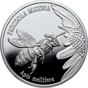 III RP, 20 złotych 2015, Pszczoła