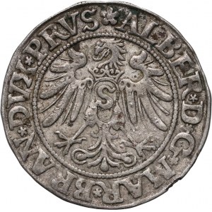 Knížecí Prusko, Albert Hohenzollern, penny 1534, Königsberg