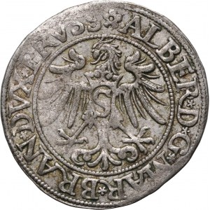 Herzogliches Preußen, Albert Hohenzollern, Pfennig 1535, Königsberg