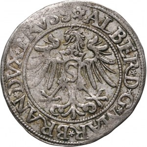 Knížecí Prusko, Albert Hohenzollern, penny 1535, Königsberg