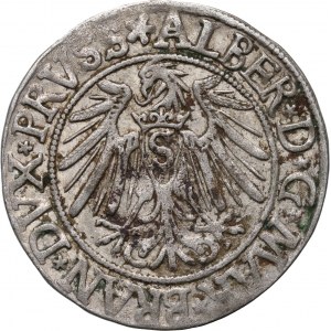 Kniežacie Prusko, Albert Hohenzollern, penny 1538, Königsberg