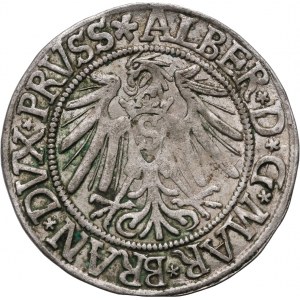 Knížecí Prusko, Albert Hohenzollern, penny 1539, Königsberg