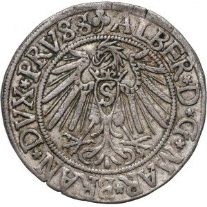 Kniežacie Prusko, Albert Hohenzollern, penny 1540, Königsberg