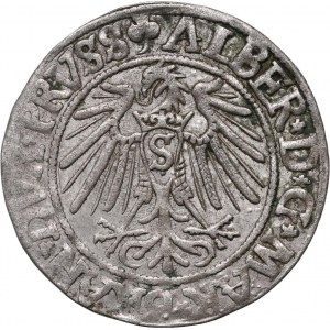 Knížecí Prusko, Albert Hohenzollern, penny 1541, Königsberg