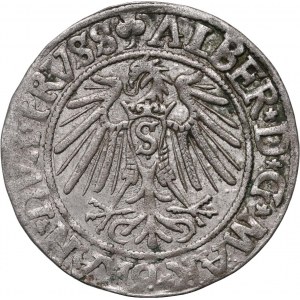 Kniežacie Prusko, Albert Hohenzollern, penny 1541, Königsberg