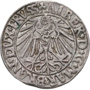 Herzogliches Preußen, Albert Hohenzollern, Pfennig 1546, Königsberg