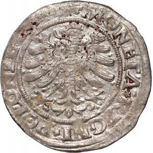 Sigismund I. der Alte, Pfennig, Datum unleserlich, Krakau