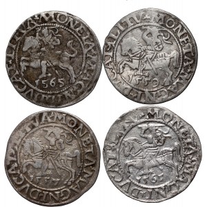 Zygmunt II August, zestaw 4 x półgrosz z lat 1557-1565, Wilno