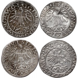 Sigismund II. Augustus, Satz von 4 Halbpfennigen, datiert 1557-1565, Vilnius