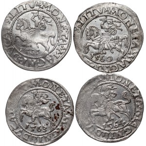 Sigismund II Augustus, set of 4 x half-penny from 1560-1564, Vilnius