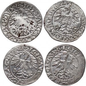 Sigismund II Augustus, set of 4 x half-penny from 1560-1564, Vilnius