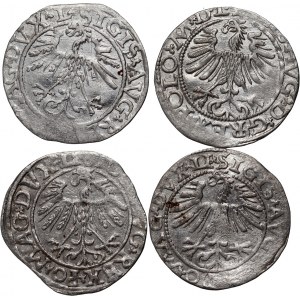 Zygmunt II August, zestaw 4 x półgrosz z lat 1558-1565, Wilno