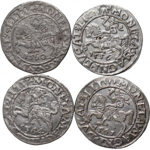 Sigismund II Augustus, set of 4 x half-penny from 1556-1564, Vilnius