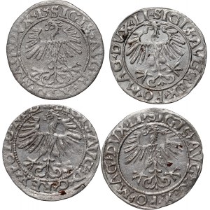 Sigismund II. Augustus, Satz von 4 Halbpfennigen, datiert 1556-1564, Vilnius