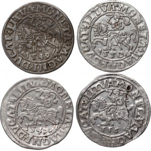 Sigismund II Augustus, set of 4 x half-penny from 1547-1556, Vilnius