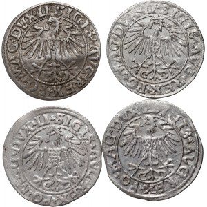 Zikmund II August, sada 4 x půlpenny s datací 1547-1556, Vilnius