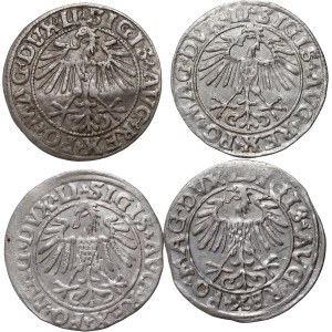 Sigismund II Augustus, set of 4 x half-penny from 1547-1556, Vilnius