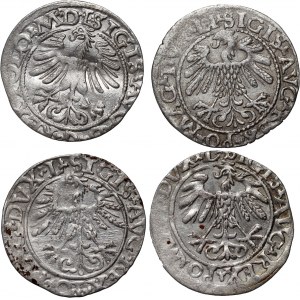 Sigismund II Augustus, set of 4 x half-penny dated 1558-1565, Vilnius