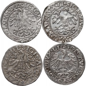 Sigismund II Augustus, set of 4 x half-penny dated 1556-1565, Vilnius