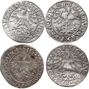 Zygmunt II August, zestaw 4 x półgrosz z lat 1556-1565, Wilno