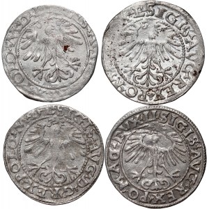 Sigismund II Augustus, set of 4 x half-penny, Vilnius