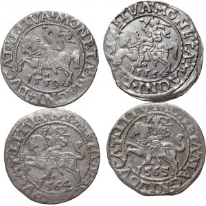Sigismund II. Augustus, Satz von 4 Halbpfennigen, datiert 1556-1565, Vilnius