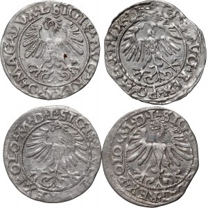 Sigismund II. Augustus, Satz von 4 Halbpfennigen, datiert 1556-1565, Vilnius