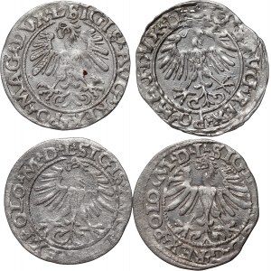 Zygmunt II August, zestaw 4 x półgrosz z lat 1556-1565, Wilno