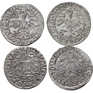 Zygmunt II August, zestaw 4 x półgrosz z lat 1556-1565, Wilno