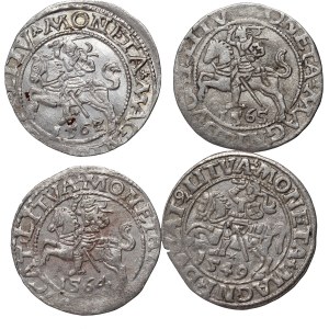Sigismund II Augustus, set of 4 x half-penny dated 1549-1565, Vilnius