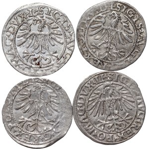 Zygmunt II August, zestaw 4 x półgrosz z lat 1549-1565, Wilno