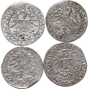 Sigismund II Augustus, set of 4 x half-penny dated 1549-1565, Vilnius