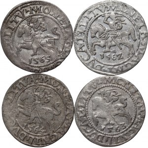 Sigismund II. Augustus, Satz von 4 Halbpfennigen, datiert 1556-1564, Vilnius