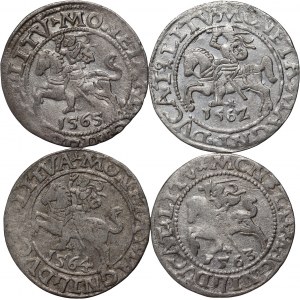 Zygmunt II August, zestaw 4 x półgrosz z lat 1556-1564, Wilno