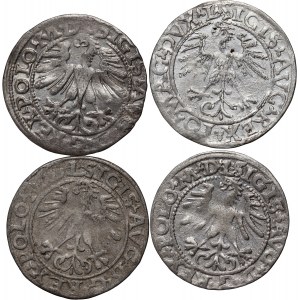 Sigismund II Augustus, set of 4 x half-penny from 1556-1564, Vilnius