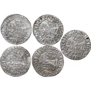 Sigismund II Augustus, set of 5 x half-penny from 1548-1558, Vilnius