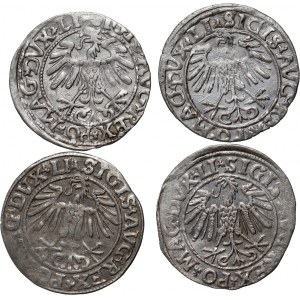 Sigismund II Augustus, set of 4 x half-penny from 1547-1558, Vilnius