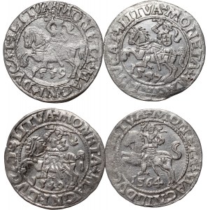 Zygmunt II August, zestaw 4 x półgrosz z lat 1547-1564, Wilno