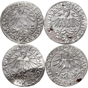 Sigismund II Augustus, set of 4 x half-penny from 1547-1564, Vilnius