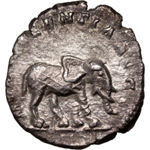 Rímska ríša, Septimius Severus 193-211, denár, Rím