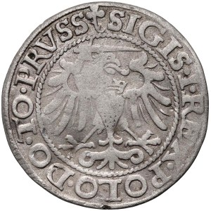 Sigismund I. der Alte, Pfennig 1540, Elbląg