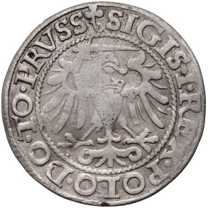 Sigismund I the Old, penny 1540, Elbląg