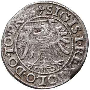 Sigismund I. der Alte, Pfennig 1539, Elbląg